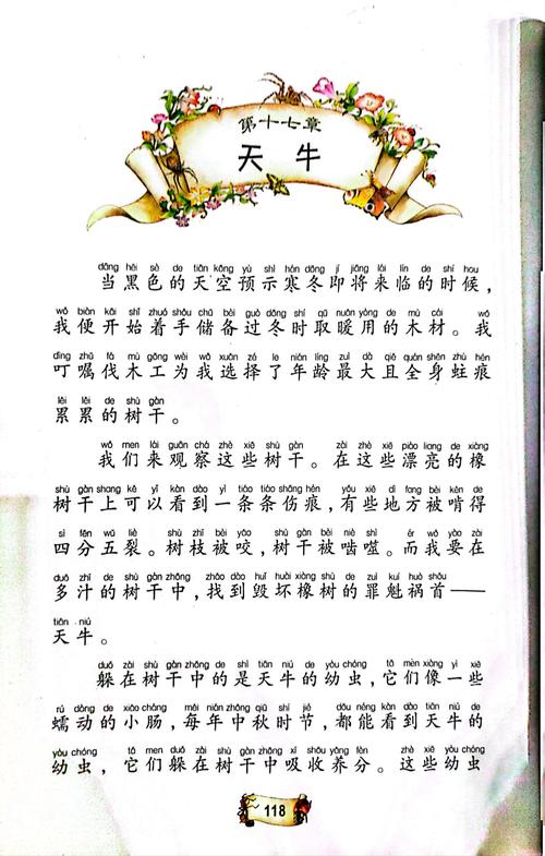 夫人每天都在线打脸免费阅读