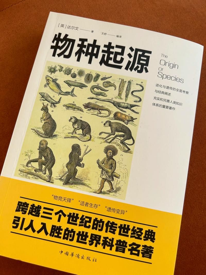 首席高参在线全文阅读 | 职场权谋与智慧博弈