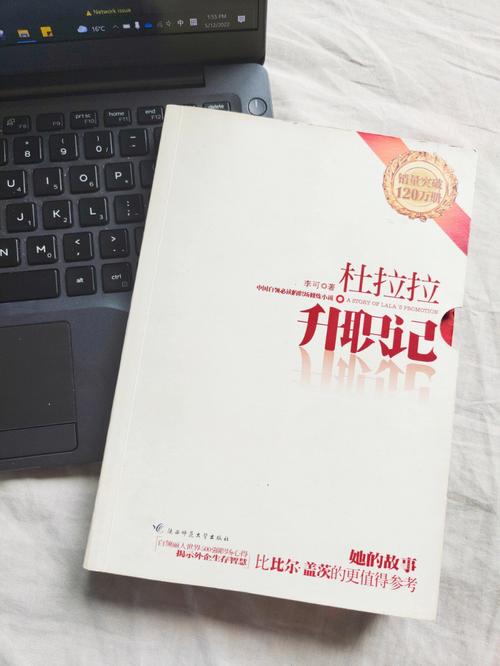 杜拉拉升职记在线阅读 - 职场晋升必读经典小说