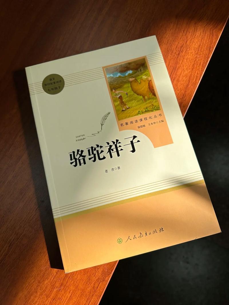 白艳妮全文阅读全集在线看｜热门小说免费无删减