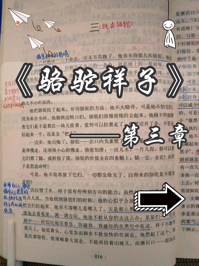 骆驼祥子原著在线阅读 | 老舍经典小说全文免费看