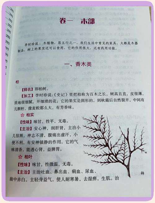 莫言小说全集在线免费阅读 | 诺贝尔文学奖作品精选