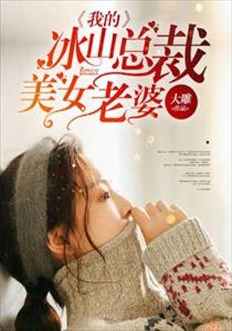 我老婆是冰山女总裁全文阅读-高冷女总裁与她的贴身高手