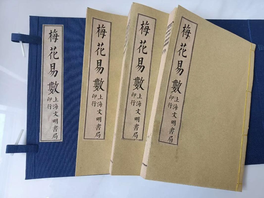 梅花易数在线阅读|起卦解卦自学指南,快速入门占卜技巧
