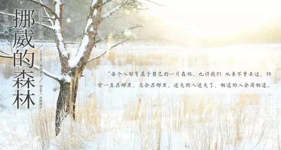 武动乾坤在线阅读 - 林动逆天改命之路,最新章节抢先看!