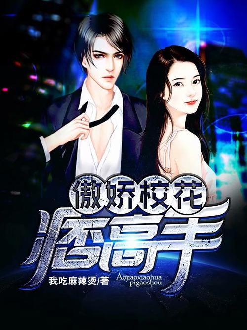 傲娇校花痞高手全文无弹窗在线阅读-最新章节目录
