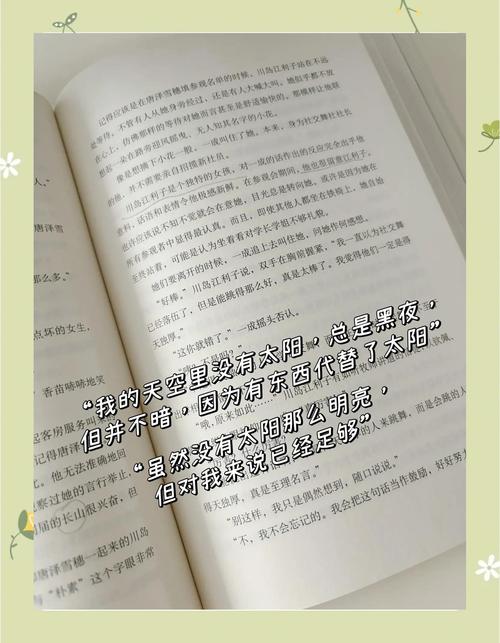 白夜行全本免费在线阅读 | 东野圭吾经典推理小说