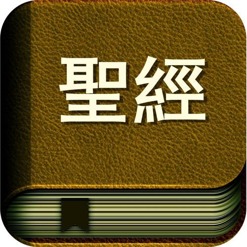 平凡女人的春天在线阅读 - 感受平凡生活中的不凡力量与温暖
