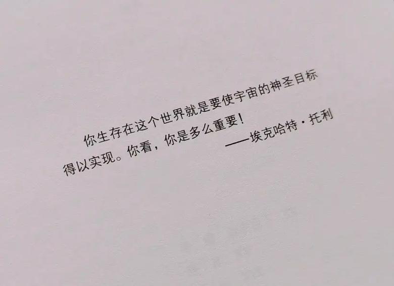 《当下的力量》在线阅读：活在当下，开启心灵觉醒之旅
