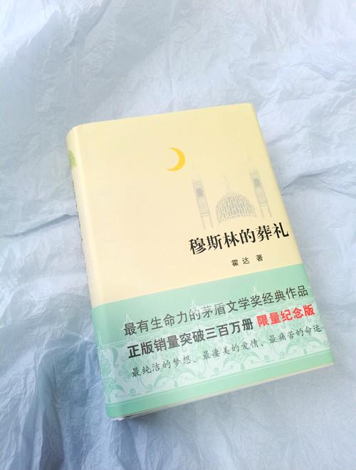乐可金银花全文免费阅读在线下载，笔趣阁软件一键获取