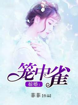 掠婚小说免费阅读在线 - 热门全集无广告