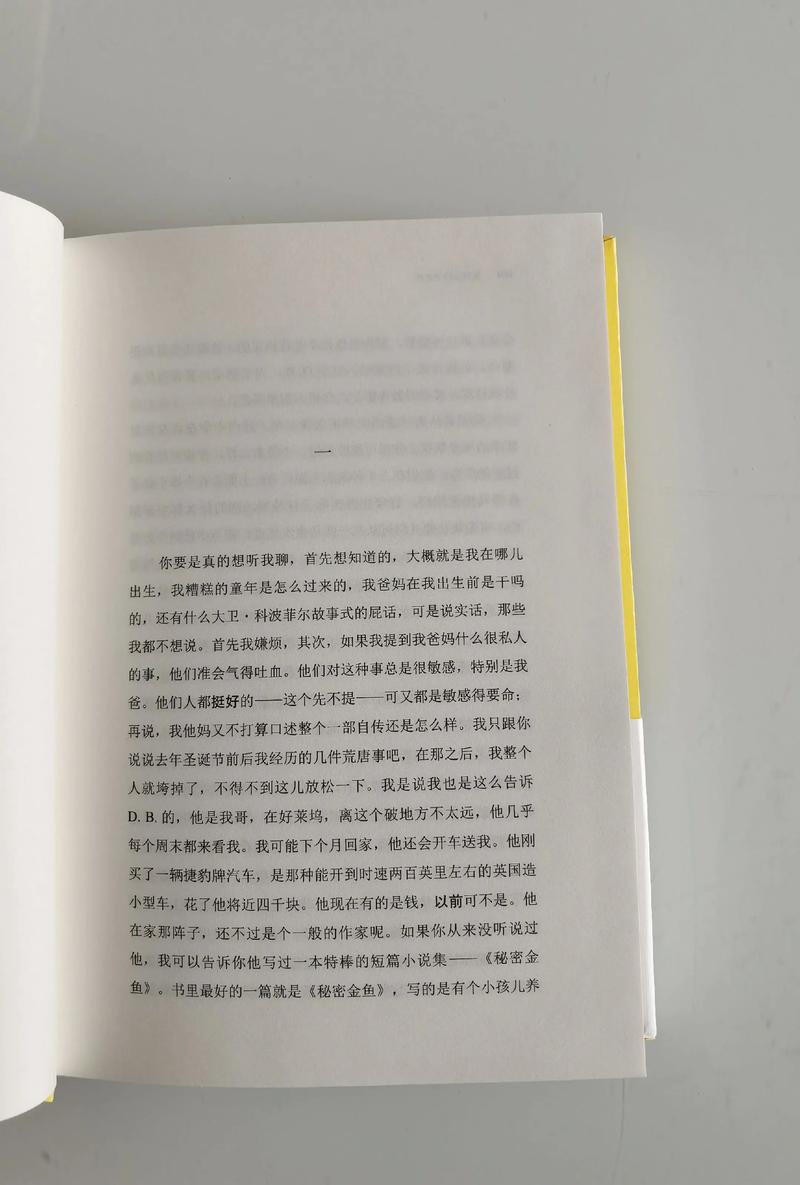 麦田里的守望者在线阅读 | 塞林格经典小说全本