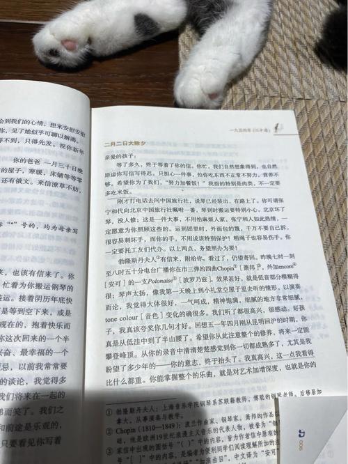 北城天街全文免费在线阅读 | 小说最新章节无弹窗