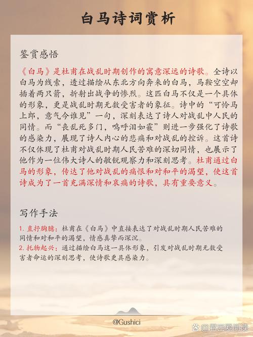 舍我骑谁txt小说在线阅读_完整版免费下载