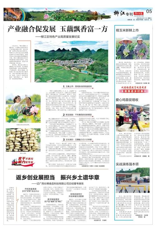 柳州晚报今日在线阅读 | 最新本地新闻速览