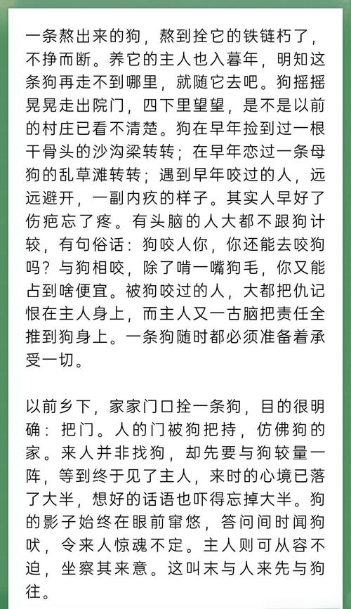 人狗合集全文在线阅读 - 人与狗的感人故事合集