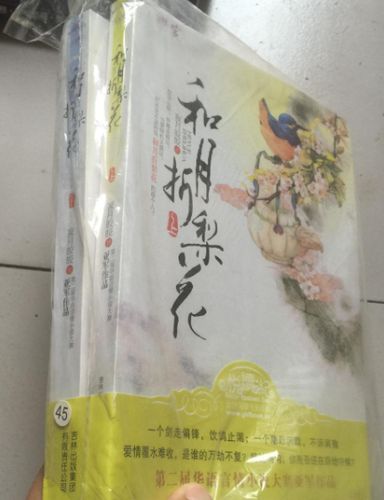 《当下的力量》在线阅读：活在当下，开启心灵觉醒之旅