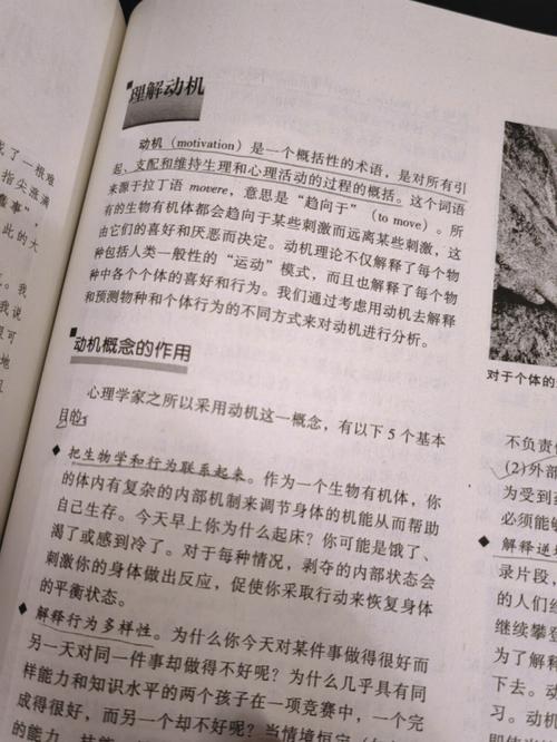 鬼话连篇青丘全集在线免费阅读 | 青丘传说最新章节
